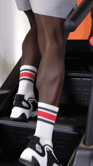 STEPR XL Commercial Stair Climber