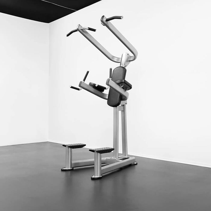 Bodykore Elite Series Chin Dip Tower CF2110