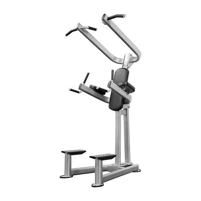 Bodykore Elite Series Chin Dip Tower CF2110