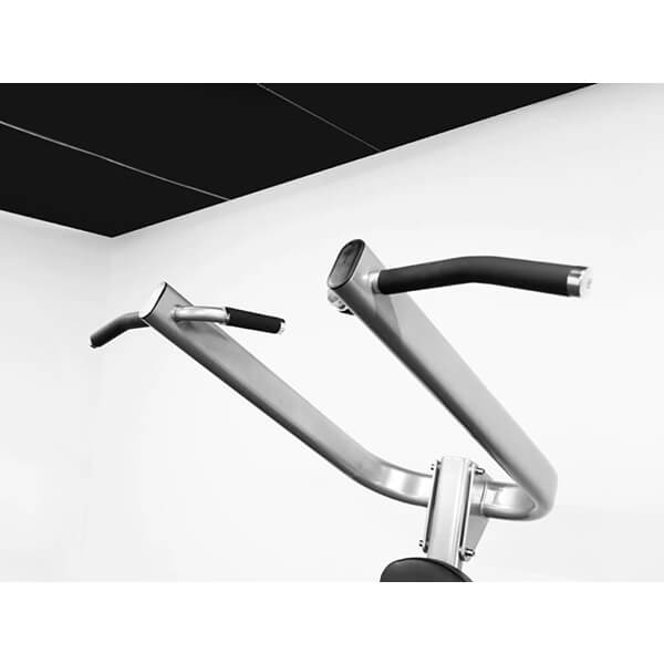 Bodykore Elite Series Chin Dip Tower CF2110