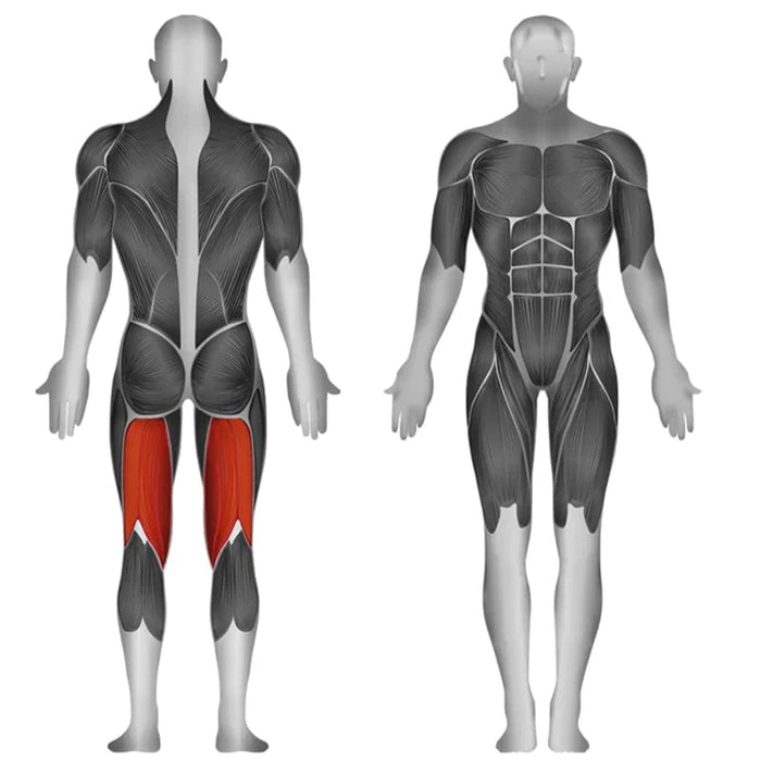 Steelflex JGLC400 Prone Leg Curl