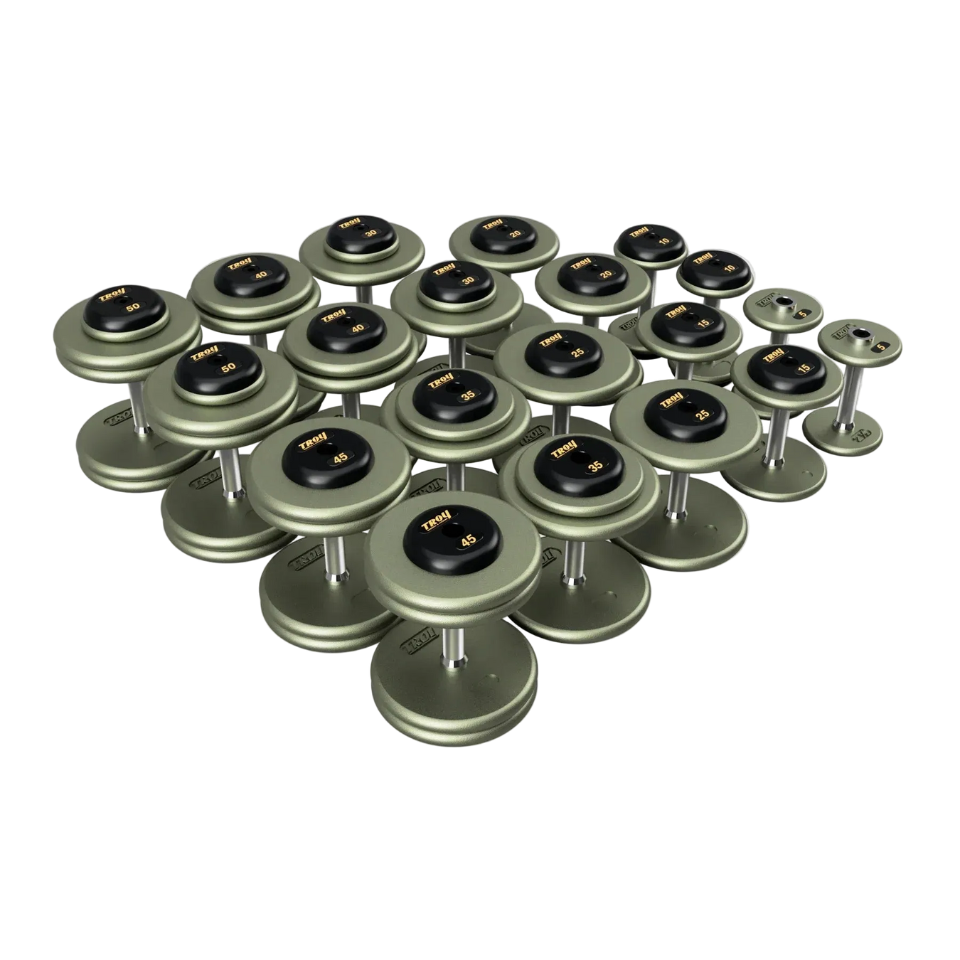 Troy Dumbbell Sets (no storage rack)