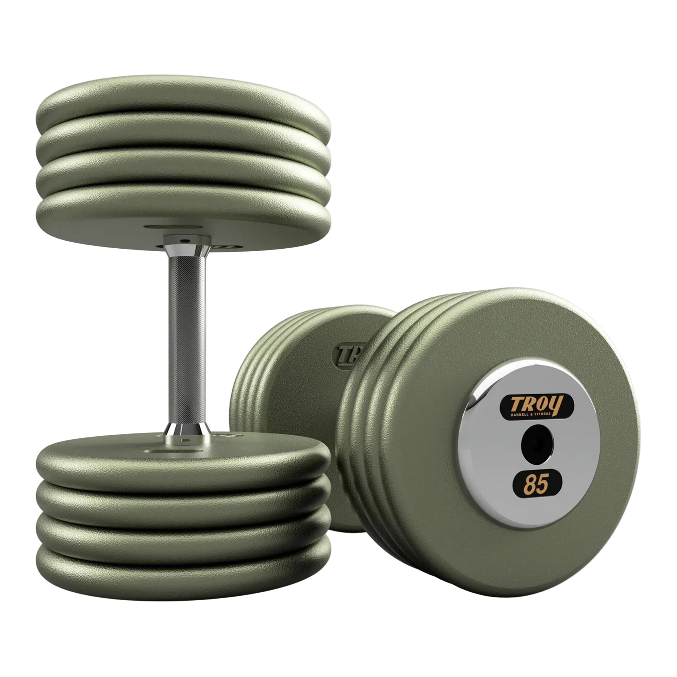 Troy Pro-Style Dumbbells