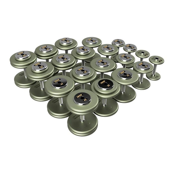 Troy Pro-Style Iron Dumbbells with Straight Handle With Chrome Endcaps - HFD